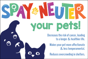SPAY