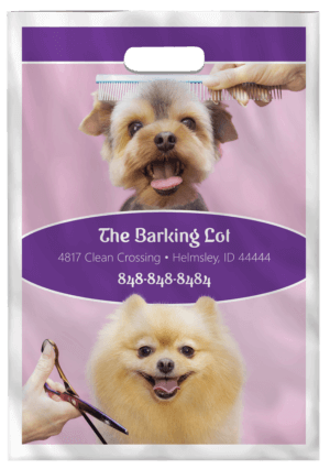 COLORBAG147