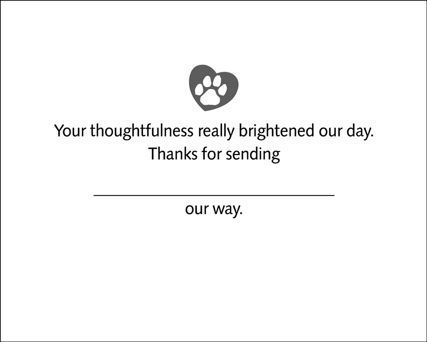 THANKSPAINT - Secondary Image