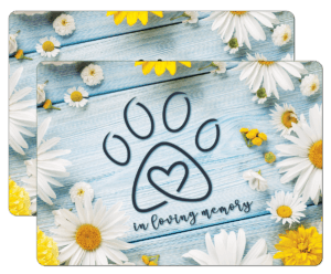 MEMDAISY