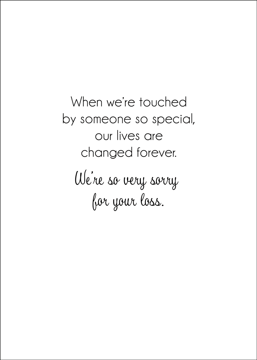 SYMCATTOY - Secondary Image