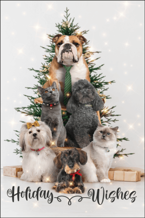 HOLIWISHES