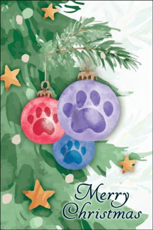 ORNAMENTS