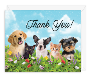 thank you card pets