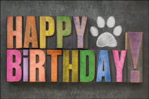 BDAYPAW3