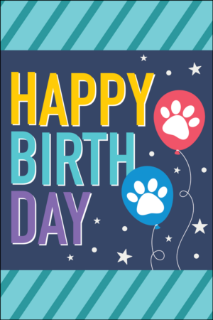 BDAYPAW6