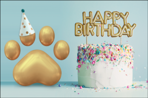 BDAYPAW8