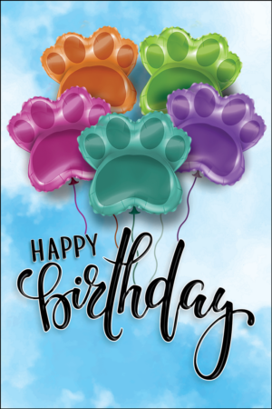 BDAYPAW9