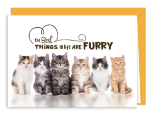 BESTCATSG