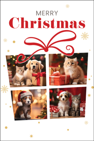 MERRYGIFT
