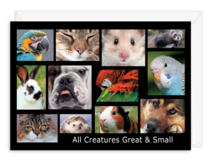 WELCREATURES