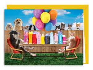 BDAYFENCEG