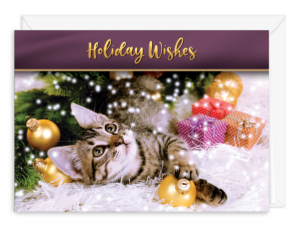 CATWISHG