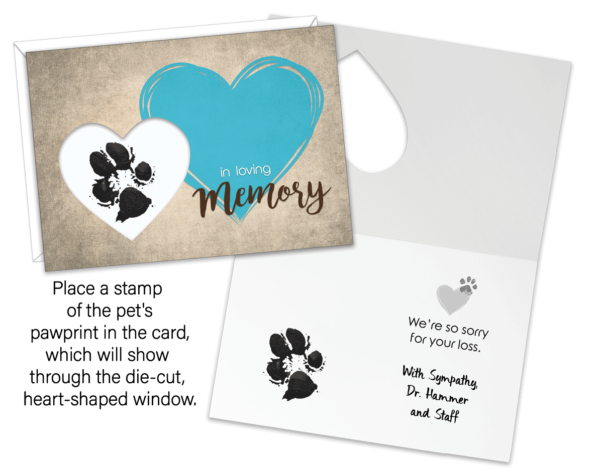 DCSYM12 - Secondary Image