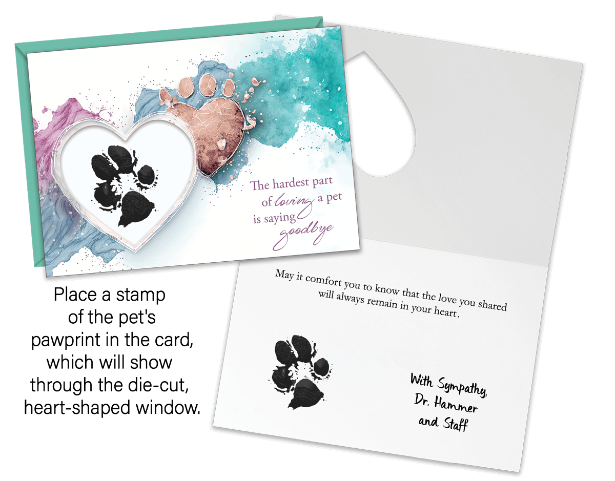 DCSYM13 - Secondary Image