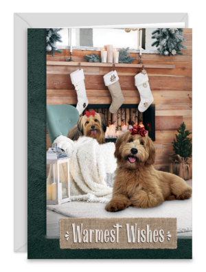 DOGSTOCKING