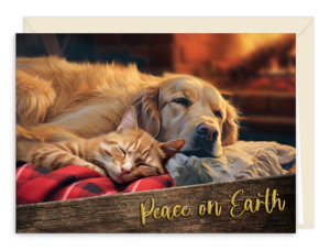 FIREPLACEG