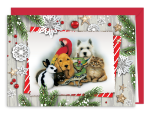 HOLIFRAMEG