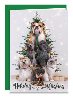 HOLIWISHESG