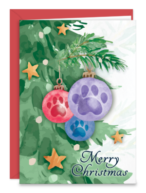ORNAMENTSG