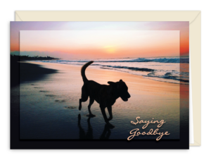 SDOG26