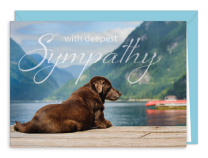 SDOG37