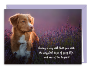 SDOGBLESS
