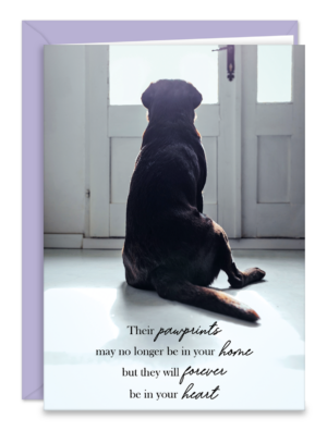 SDOGDOOR