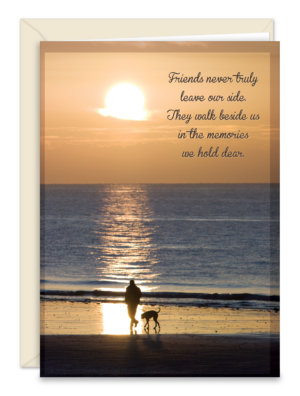 SDOGFRIENDS
