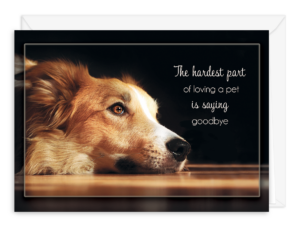 SDOGPET
