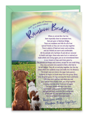 SDOGRAINBOW