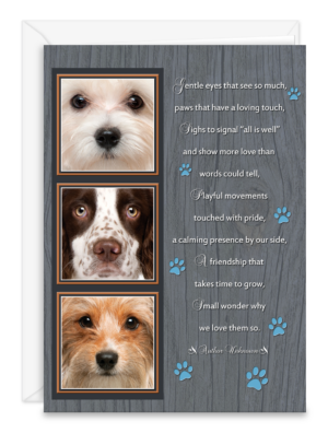 SDOGSQUARES