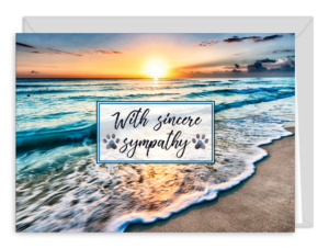 SYM42