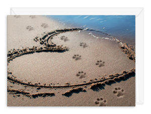 SYMBEACH