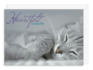 SYMCATGREY