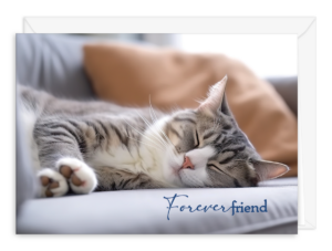 SYMCATPILLOW
