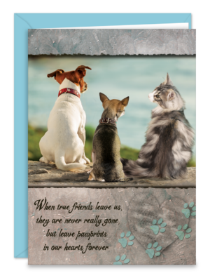 SYMFRIENDS