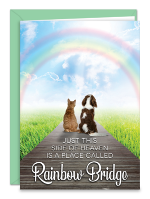 SYMRAINBOW