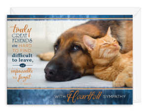 SYMTRULY