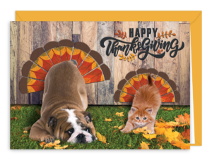 TURKEYPETSG