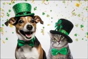 IRISHHATS