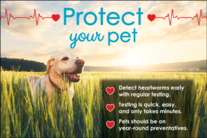 PETPROTECT