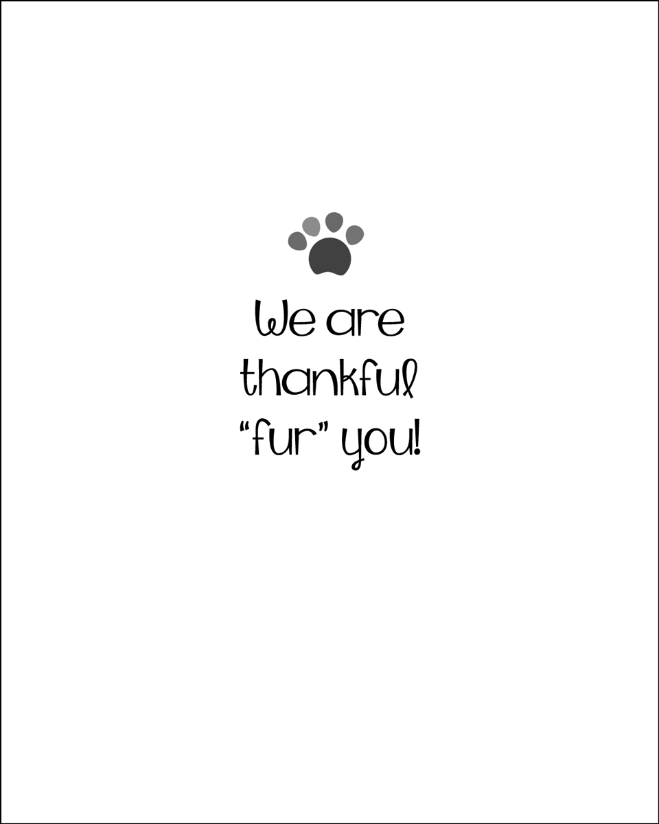 THANKS49 - Secondary Image