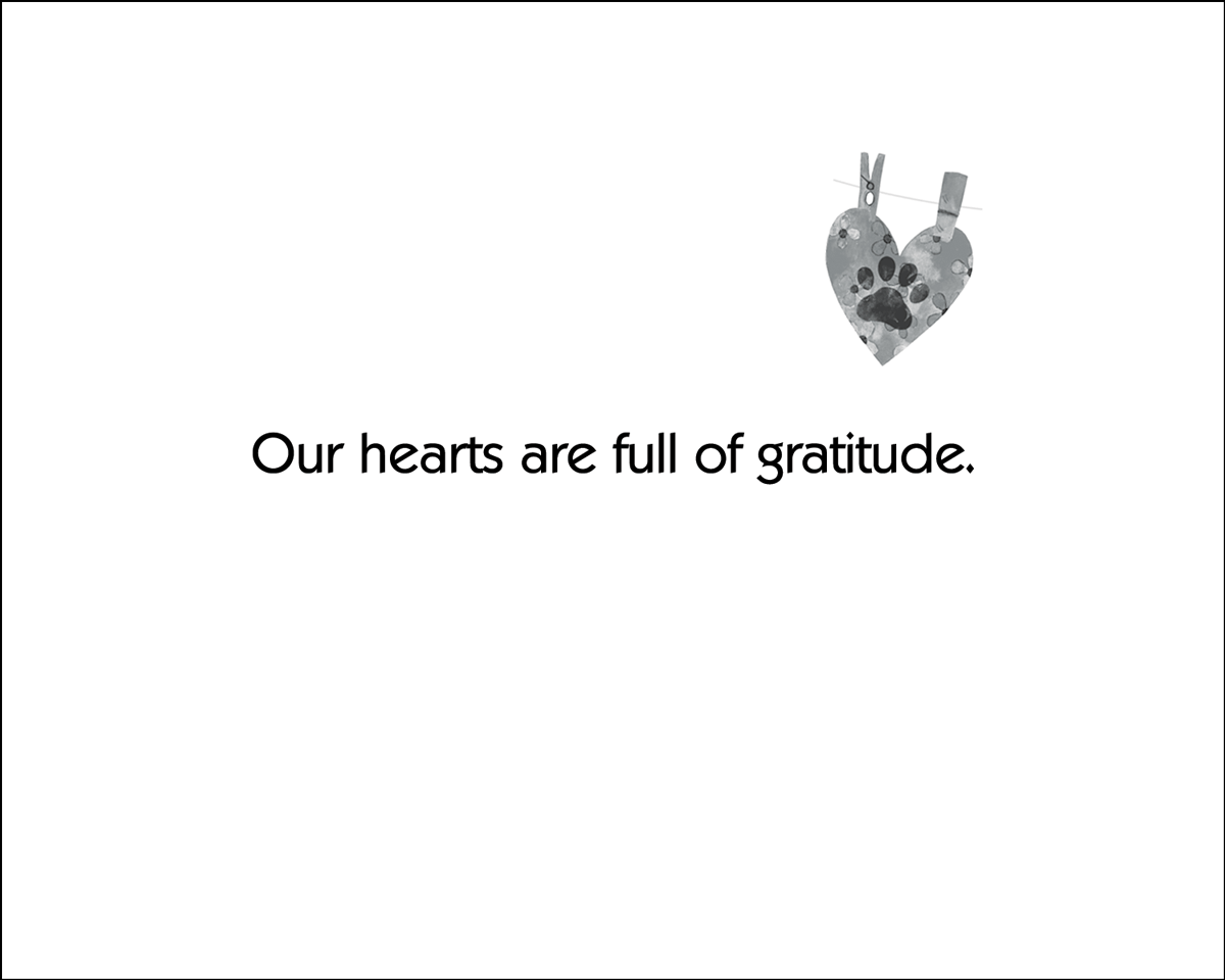 THANKS50 - Secondary Image