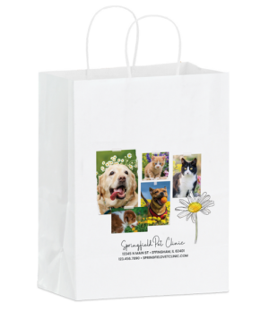 MCOLORTOTE216