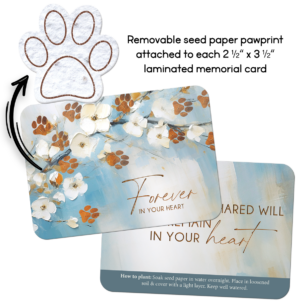 SEEDCARD2