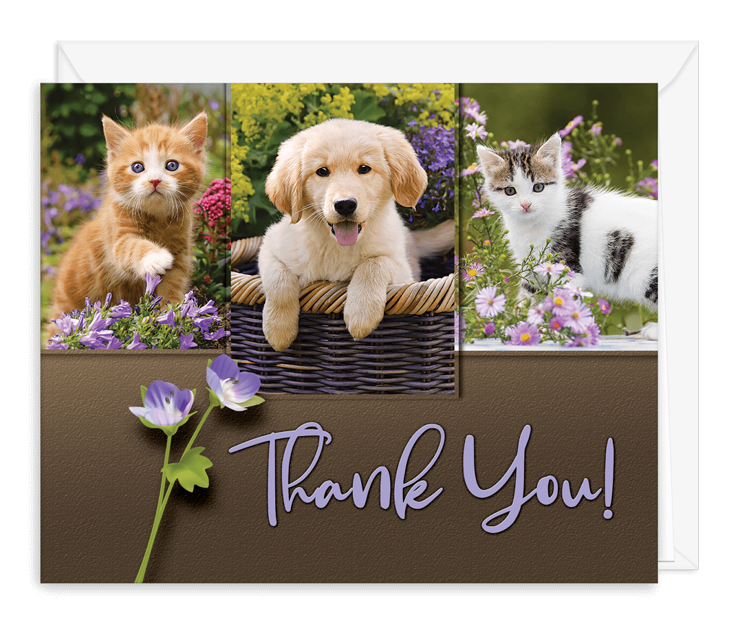 thank you card pets