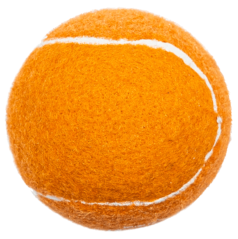 TENNISBALL | MBS Communications Veterinary