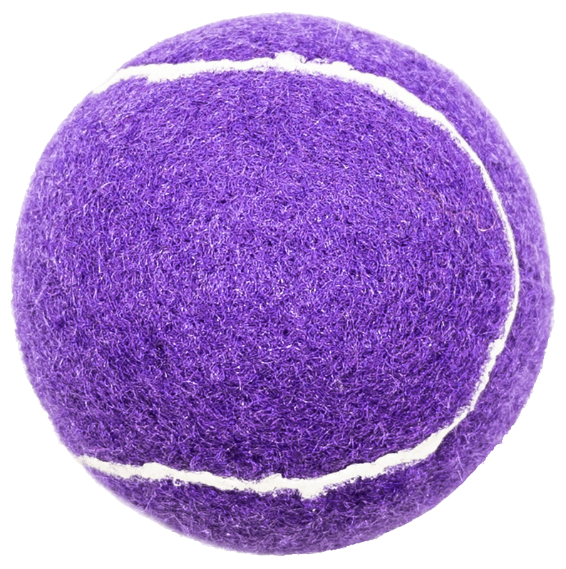 TENNISBALL | MBS Communications Veterinary