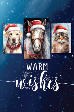 EQWARM